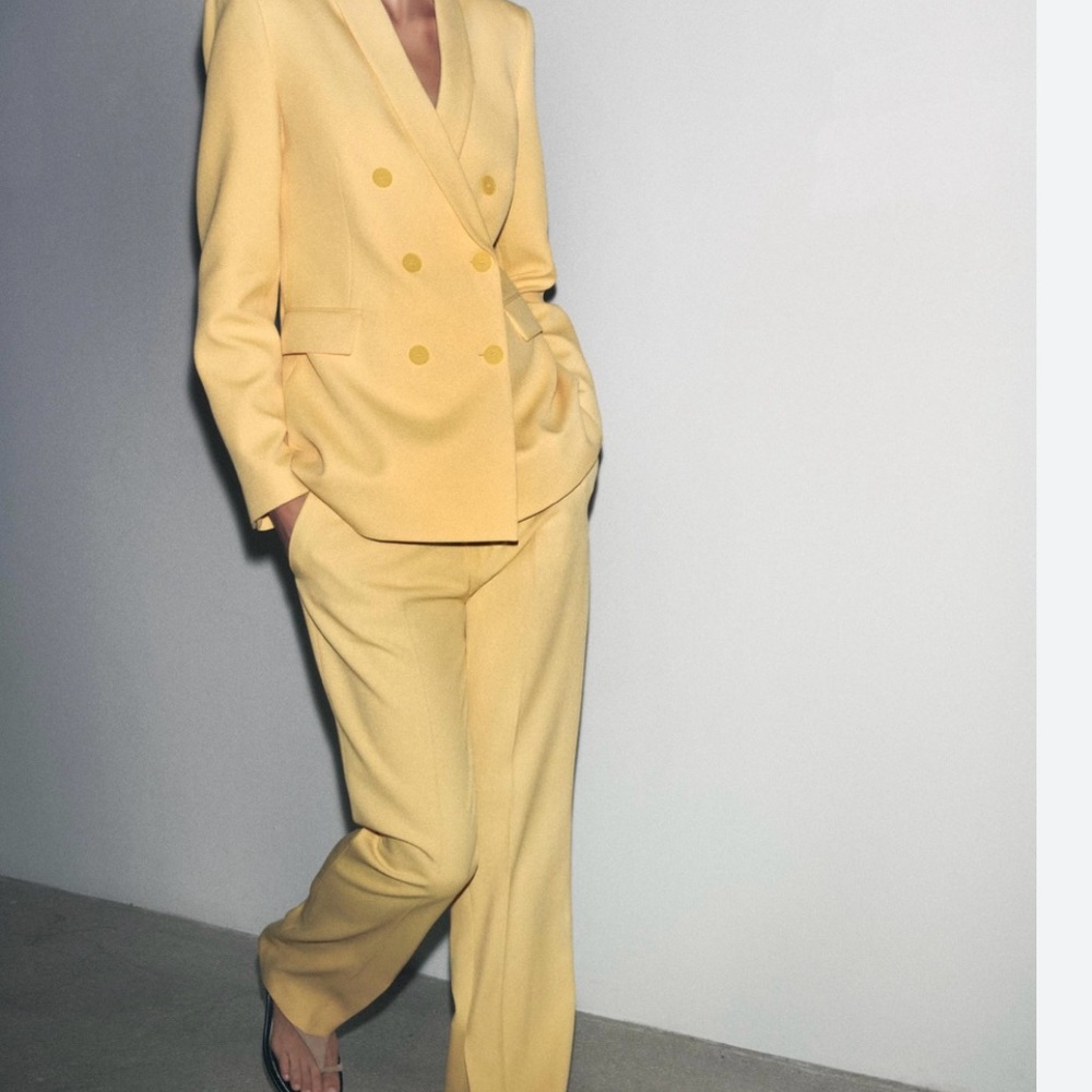 Zara ZW Collection Flared Pants